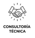 consultoria tecnica